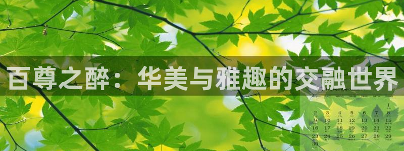 红足1世足球官网入口