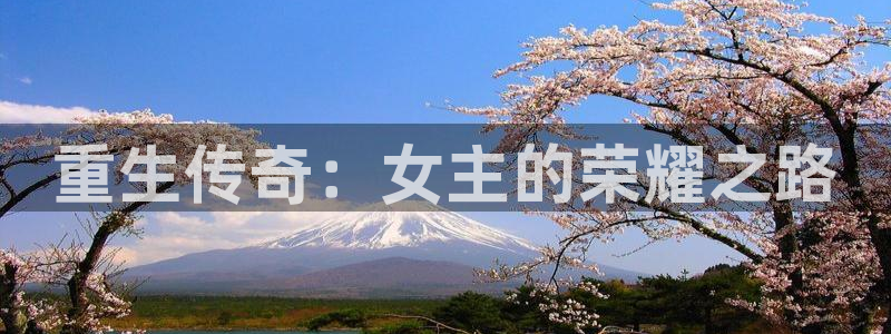 红足1世足球网页版入口
