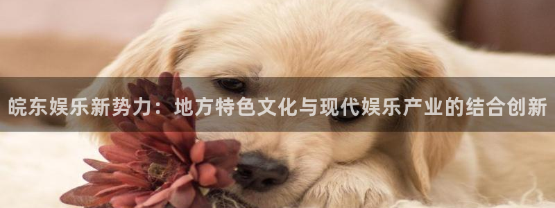 红足1世足球官网入口