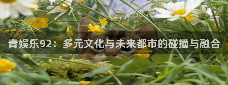 红足1世1站