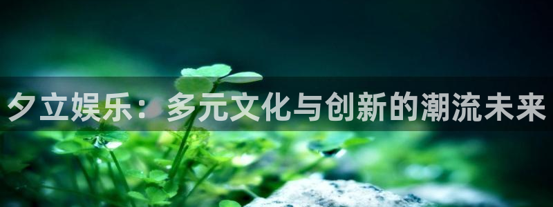 红足1世足球官网入口