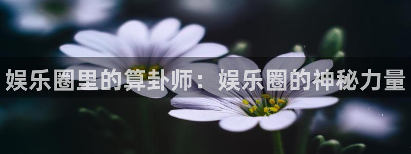 红足1世足球官网入口