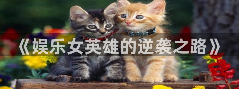 红足1世2站